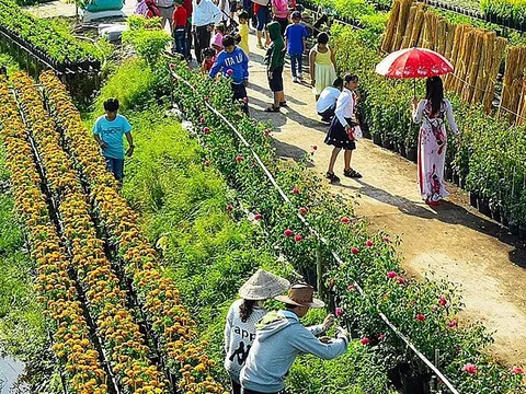 Rộn ràng du lịch đón Tết xa nhà